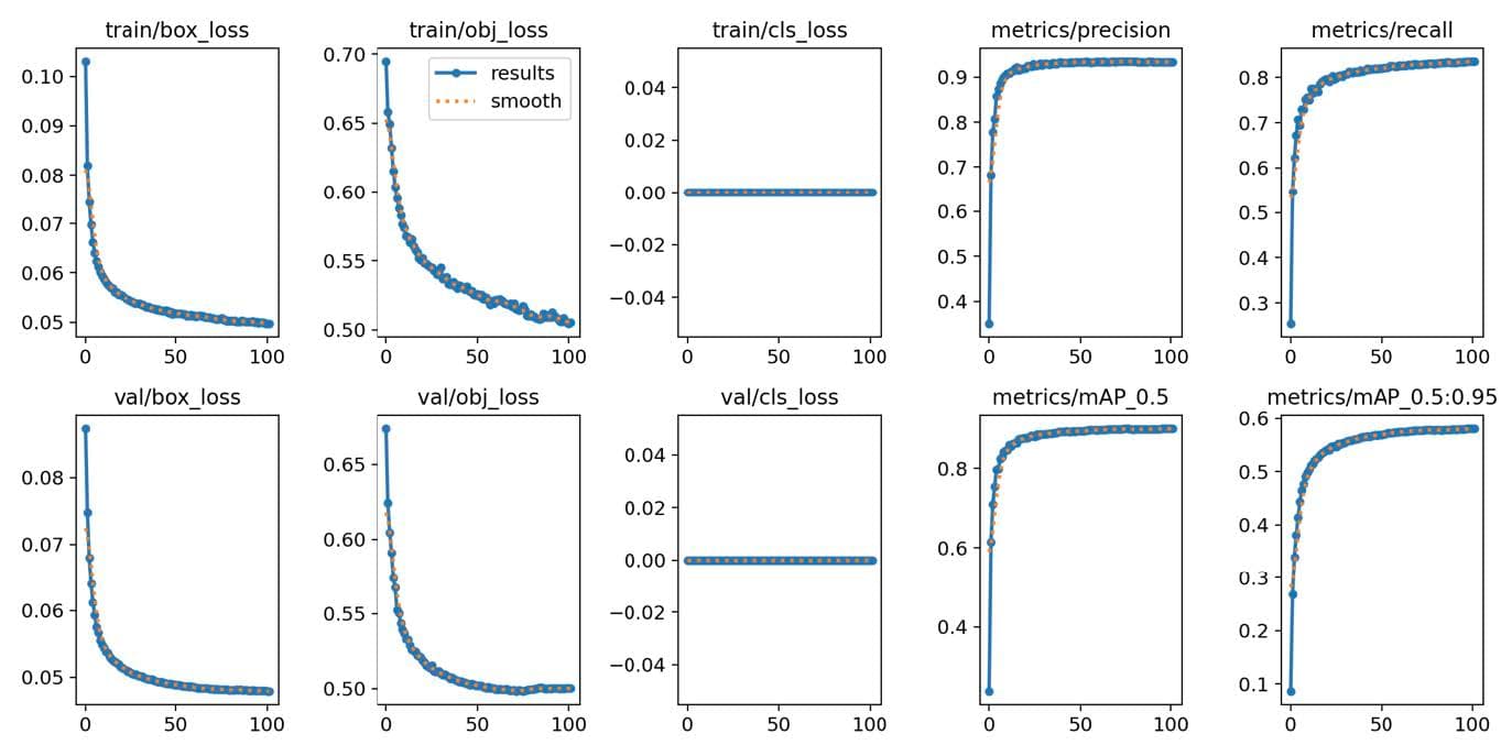 Training metrics and convergence curves